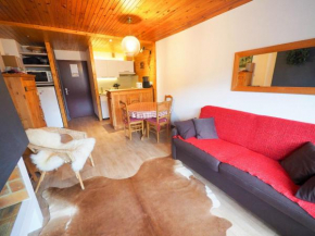 Appartement cosy 2 pièces, balcon sud, proche piscine et pistes, La Clusaz - FR-1-459-114